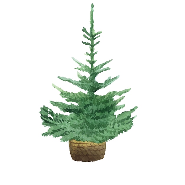 Tree green new year christmas decor fir