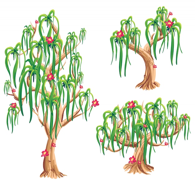 Tree illustration collection