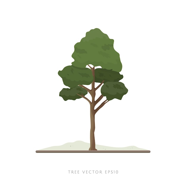 Tree illustration vector icon landscape decoration element