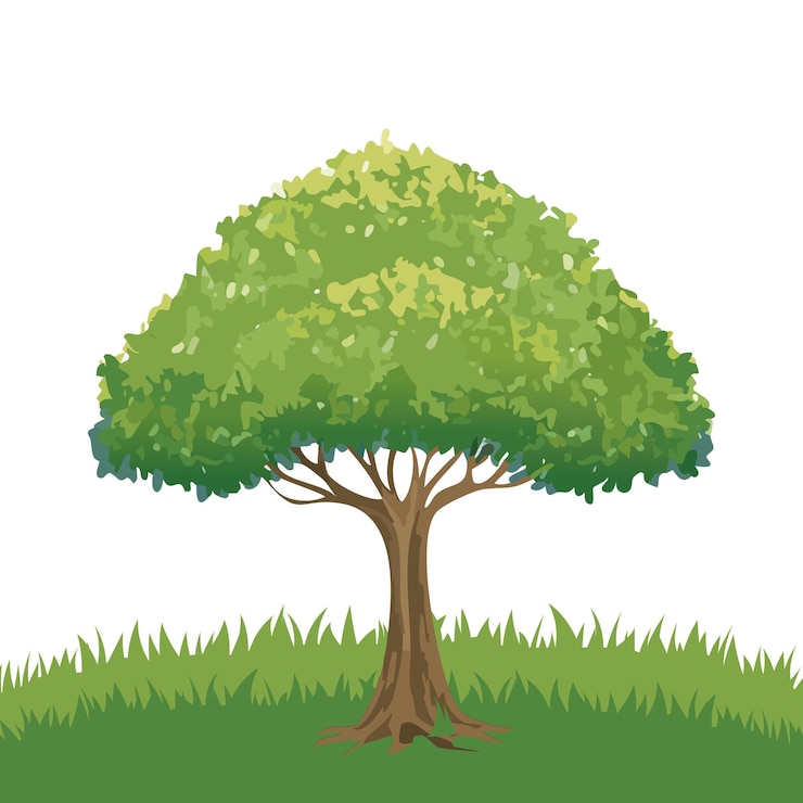 Vector a tree illustration