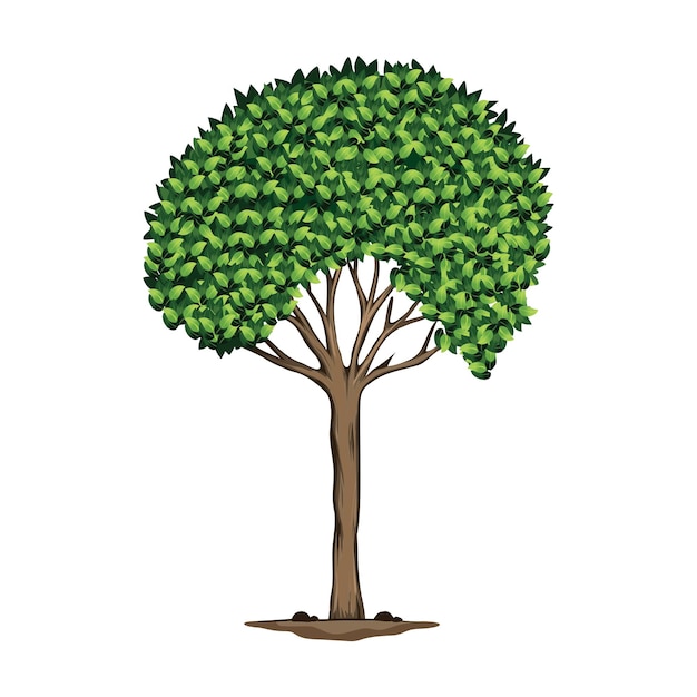 tree illustration