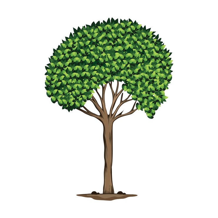 Vector tree illustration