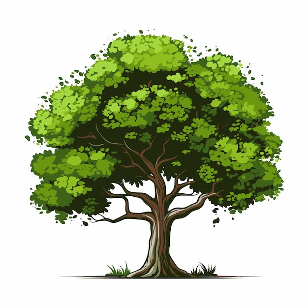 Иллюстрация дерева