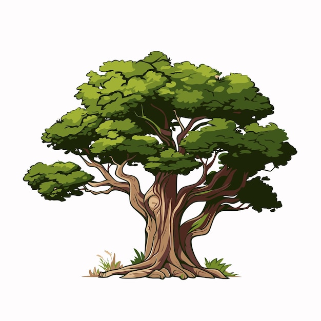 Premium Vector | Tree illustration