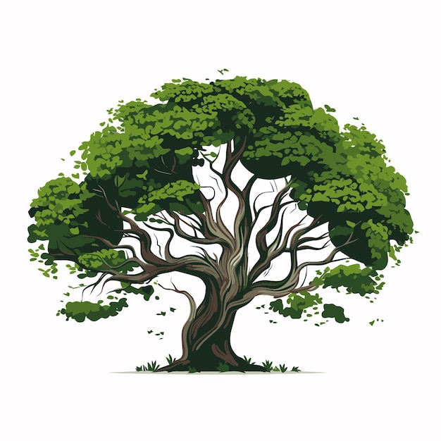Иллюстрация дерева