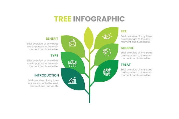 tree infographic with icons numbers and placeholder text green business diagram and template vec