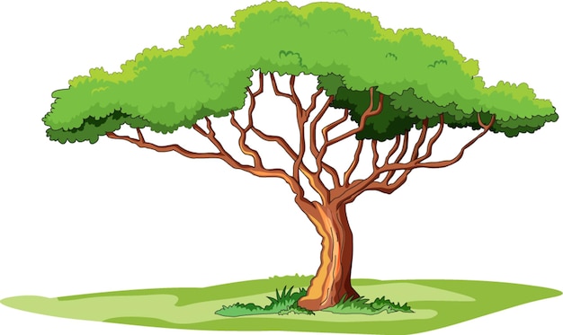 Tree isolated cartoon