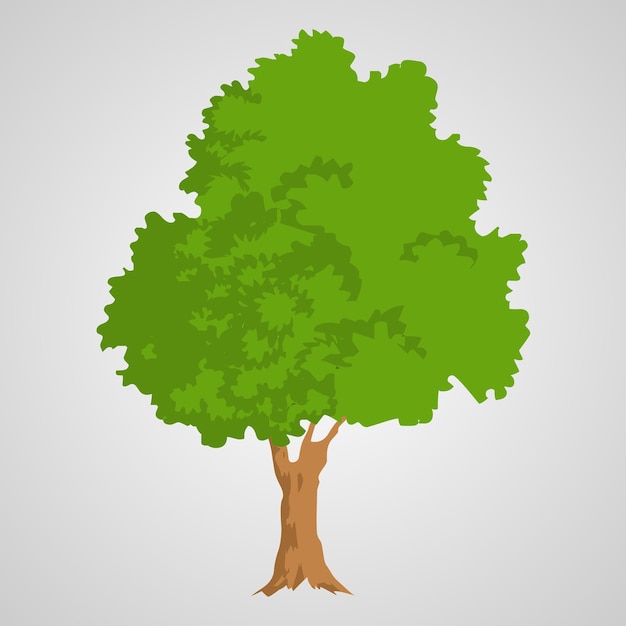 Tree isolated illustration