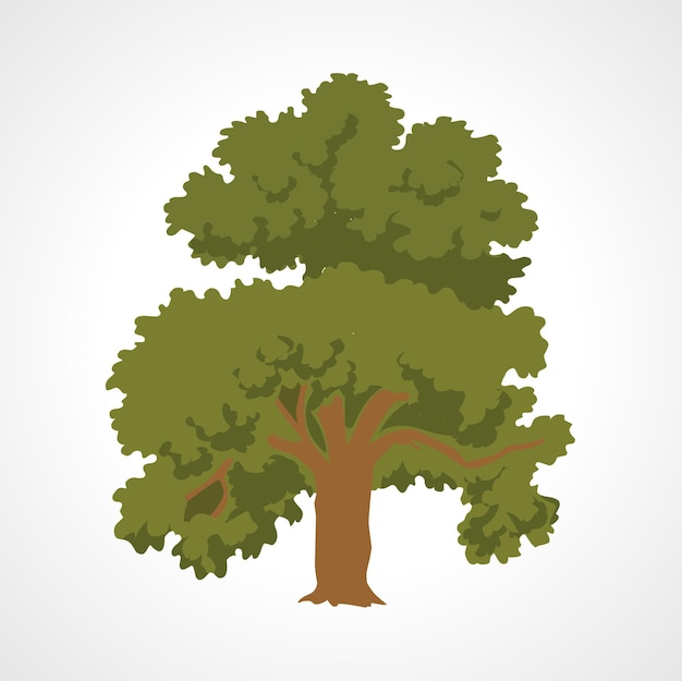 Vector tree isolated illustration