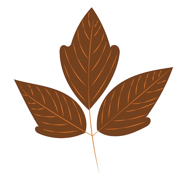 Vector tree leaf in flat style isolated vector