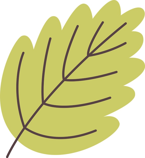 Vector tree leaf icon