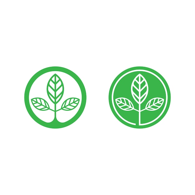 Tree leaf vector and green logo design friendly concept