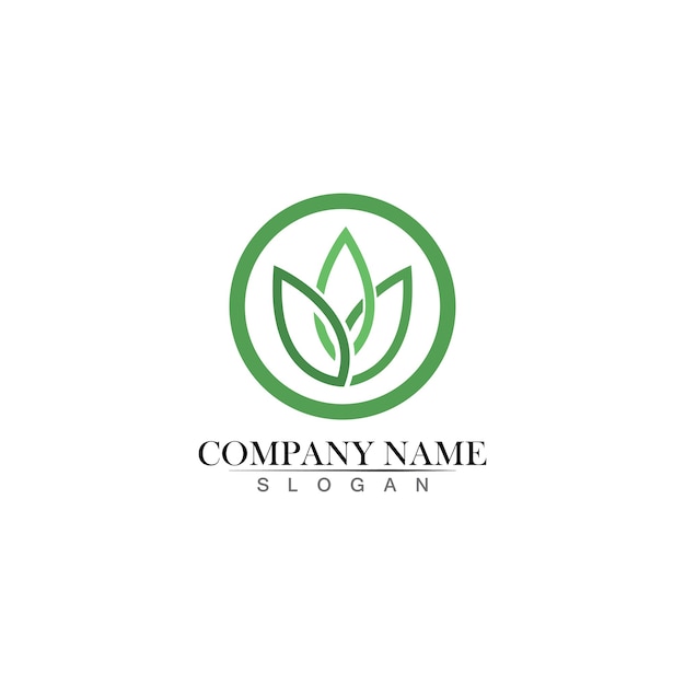 Tree leaf vector logo design, eco-friendly concept