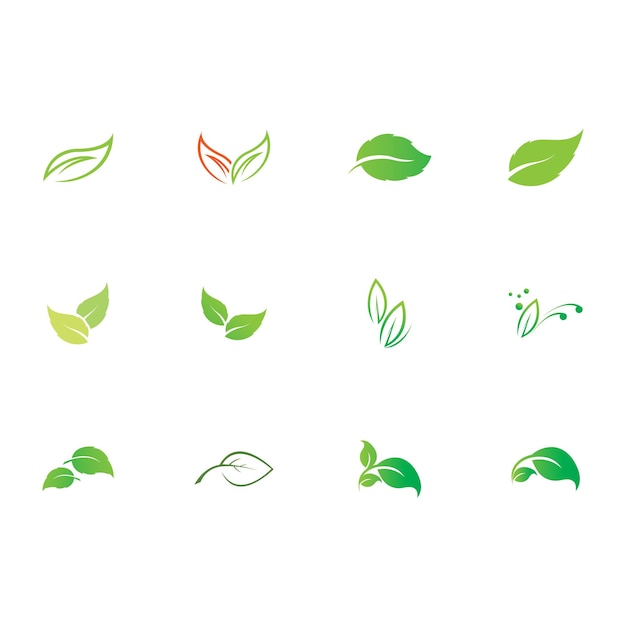 Tree leaf vector logo design eco friendly concept