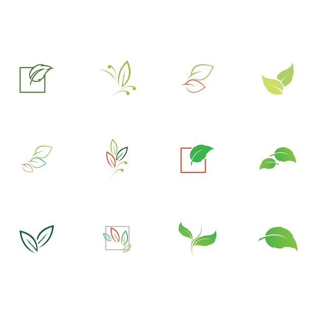 Tree leaf vector logo design eco friendly concept