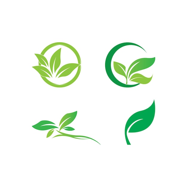 Tree leaf vector logo design ecofriendly concept