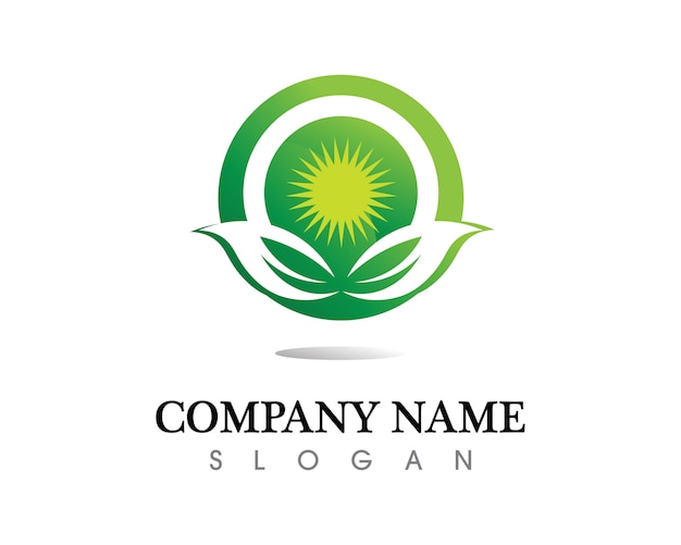 Tree leaf vector logo 