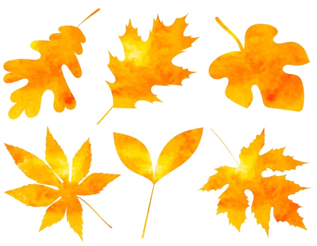 Tree leaf watercolor silhouette isolated set vector