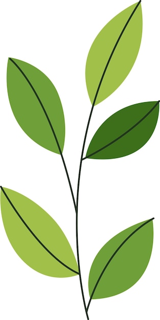 Vector tree leaves branch