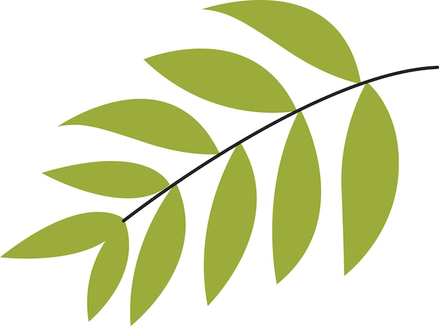 Vector tree leaves branch