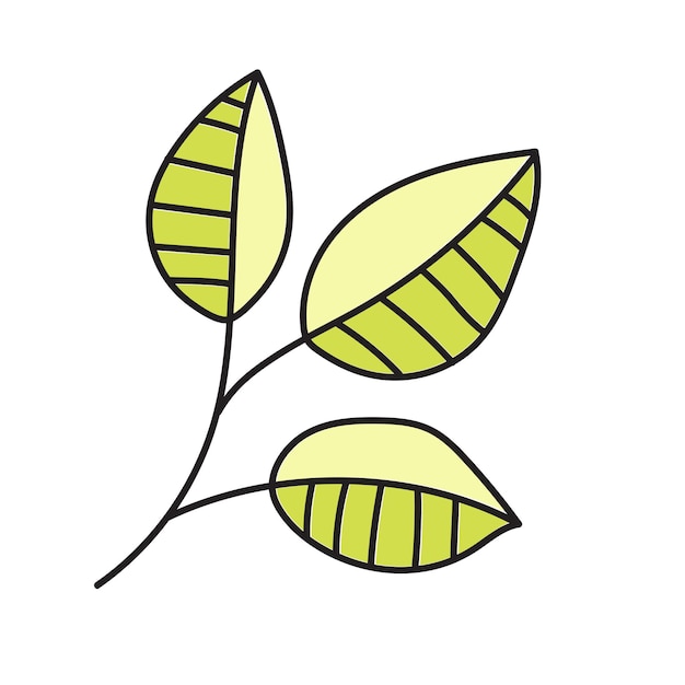 Tree leaves Vector illustration in doodle style