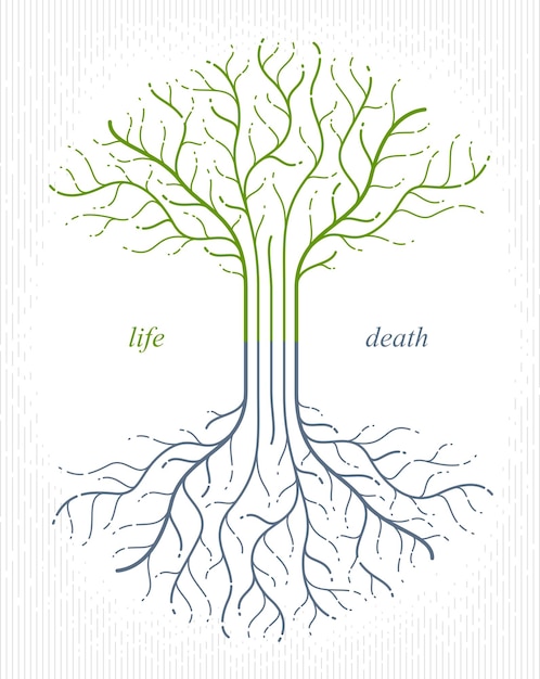 tree of life, life and death, the cycle of life, vector logo drawing in linear style, classic symbol.