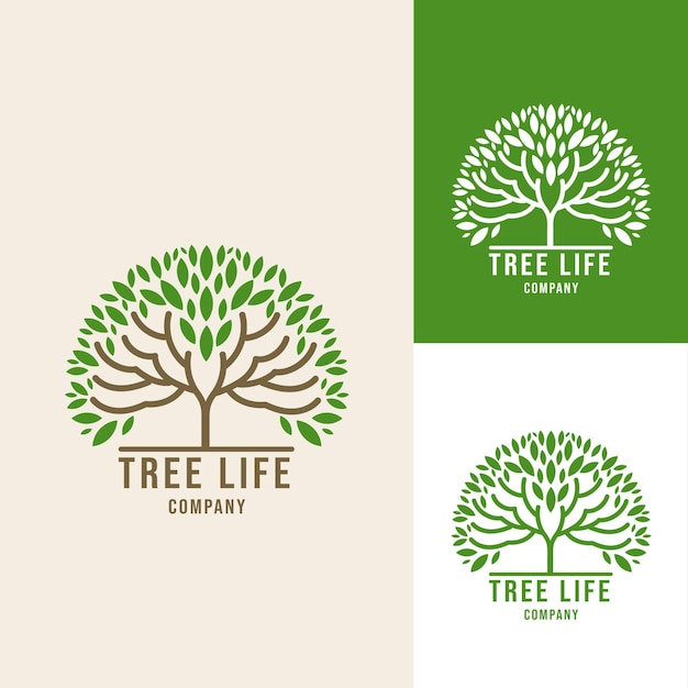 Вектор Шаблон логотипа tree life