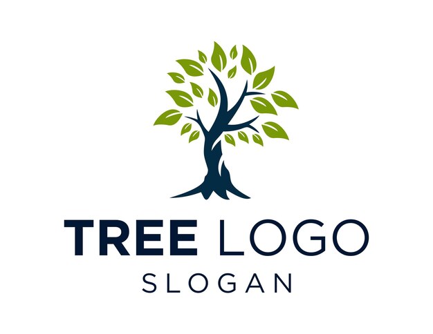 Tree logo design