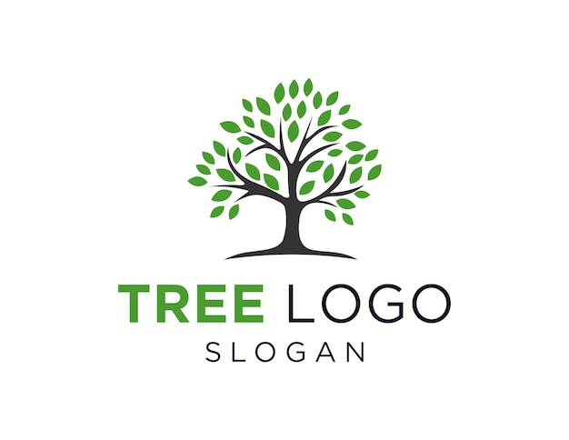 Tree Logo Design