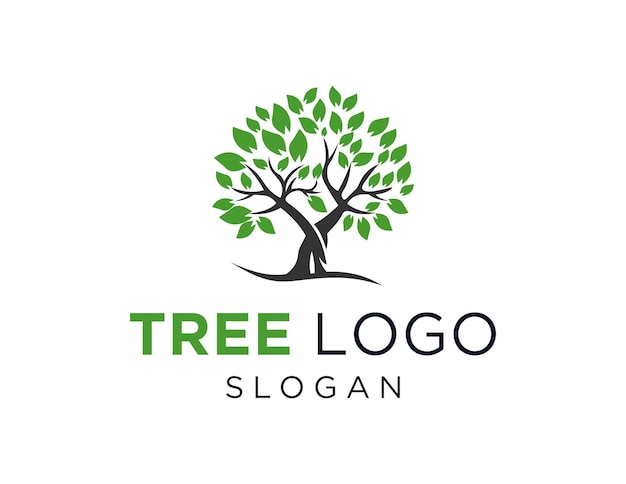 Tree Logo Design