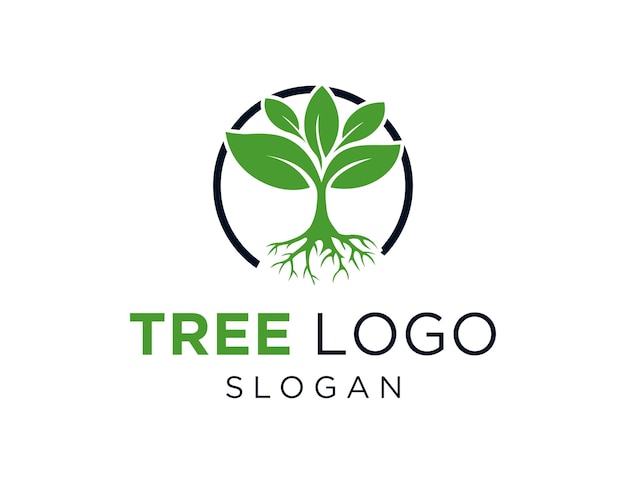 Tree Logo Design