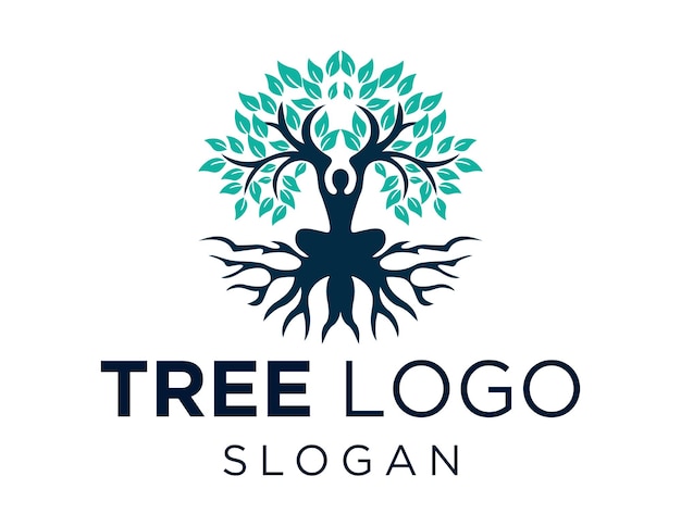 Tree logo design