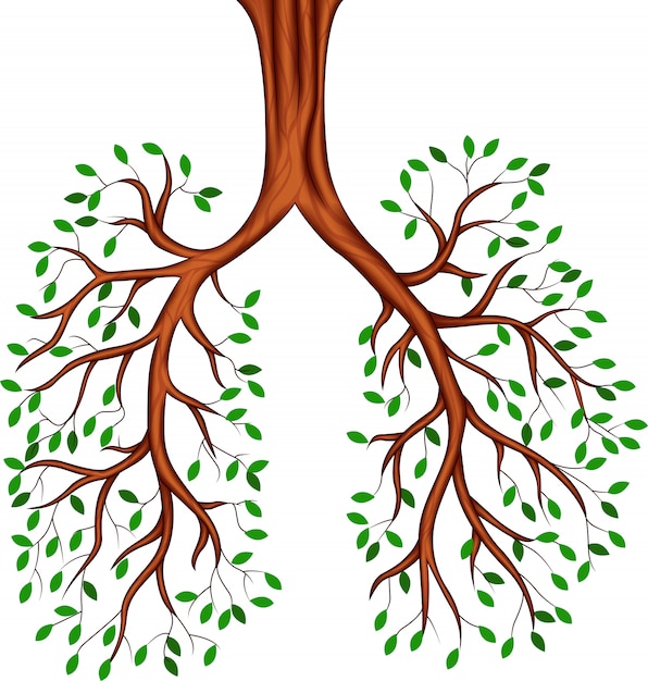 Vector tree lungs cartoon