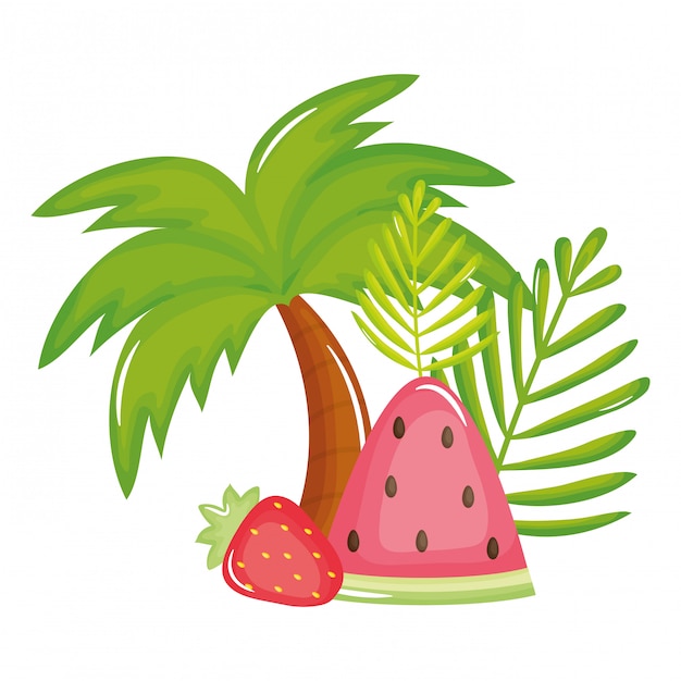 tree palm beach with watermelon and strawberry