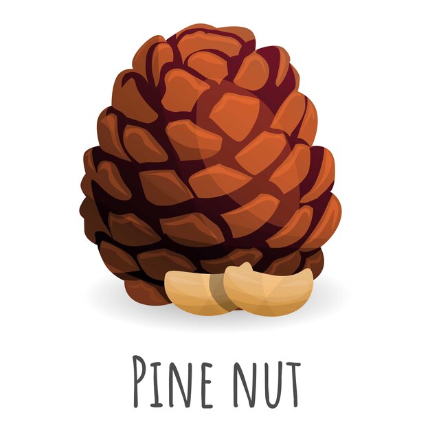 Tree pine nut icon Cartoon of tree pine nut vector icon for web design isolated on white background