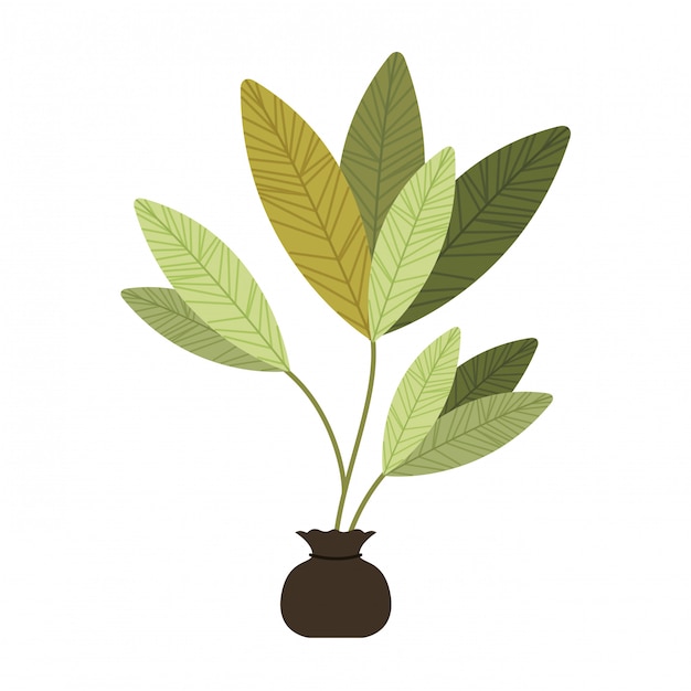 Tree plant cultivate isolated icon