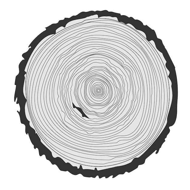 Вектор Кольца деревьев и вырезанные пилой стволы деревьев векторная иллюстрация