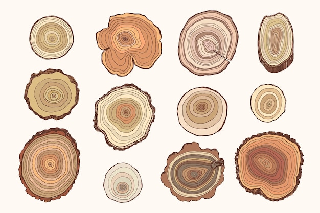 Tree rings vector illusrations set