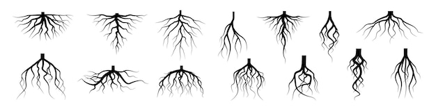 Tree root icon set Tree root silhouette set