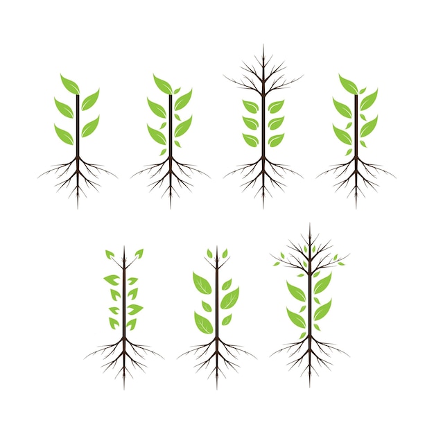 tree roots vector icon illustration design Green Tree Growing in nature vector icon set