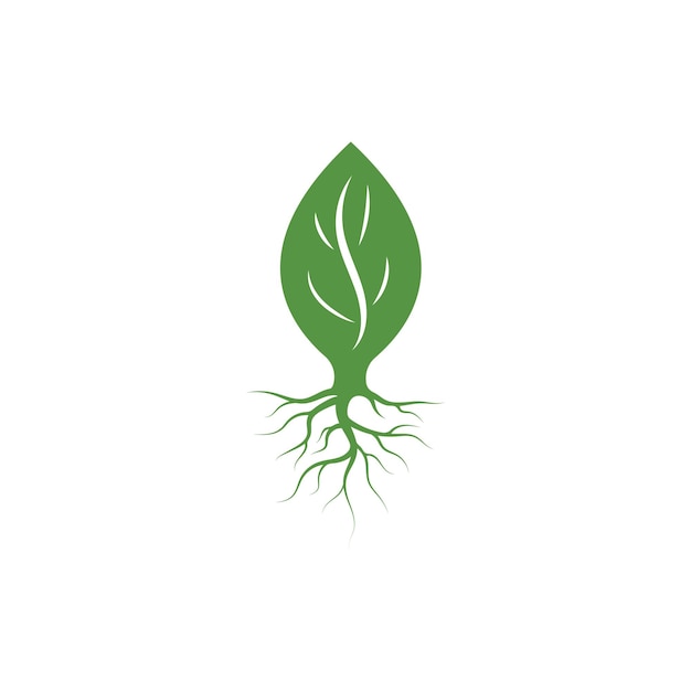 Tree roots vector icon illustration design