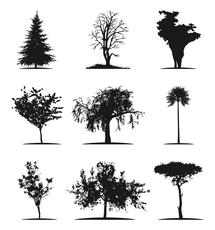 Vector tree silhouette black tree illustration