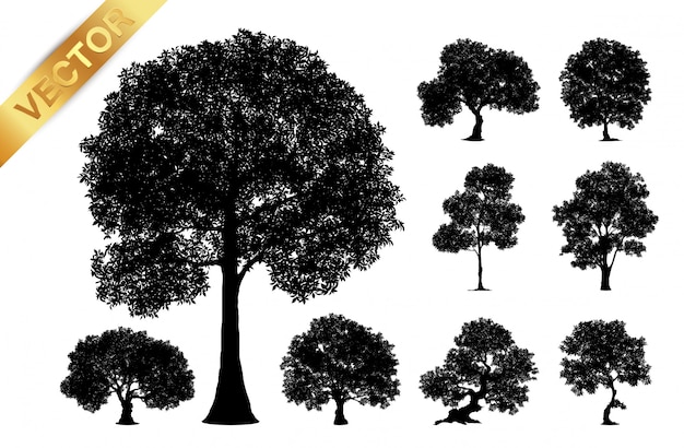 Vector tree silhouette isolated on white background.