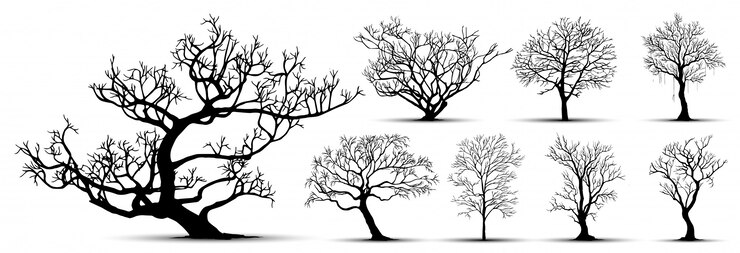 Vector tree silhouette isolated on white background.