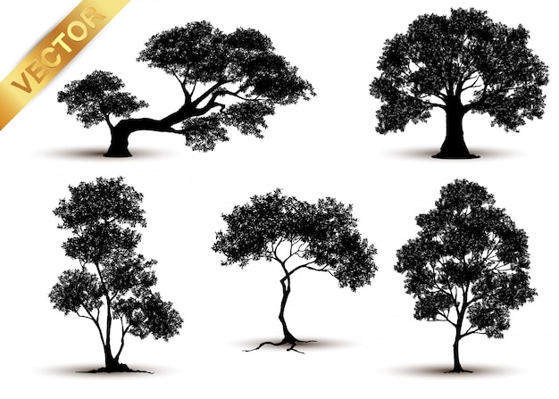 Vector tree silhouette isolated on white background.