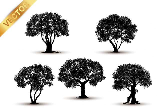 tree silhouette isolated on white background.