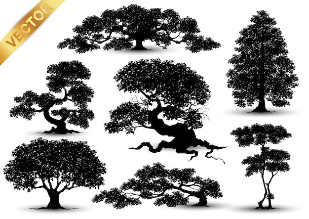 Vector tree silhouette isolated on white background.
