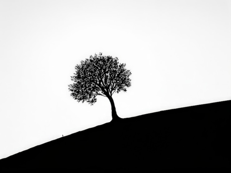 Vector tree silhouette on white background tree silhouette on white background