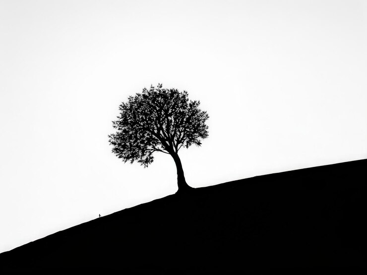 Vector tree silhouette on white background tree silhouette on white background