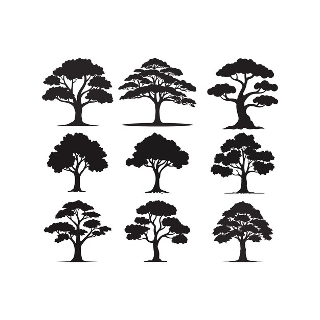 Vector tree silhouettes detailed isolated vector template illustration